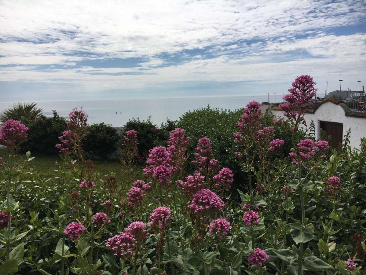 The Wooden House Hotel Kilmore Quay Luaran gambar